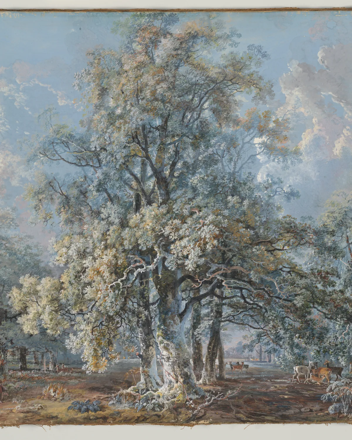 A mother and children resting beneath a large beech tree