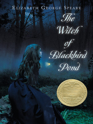 The Witch of Blackbird Pond by Elizabeth George Speare — book cover